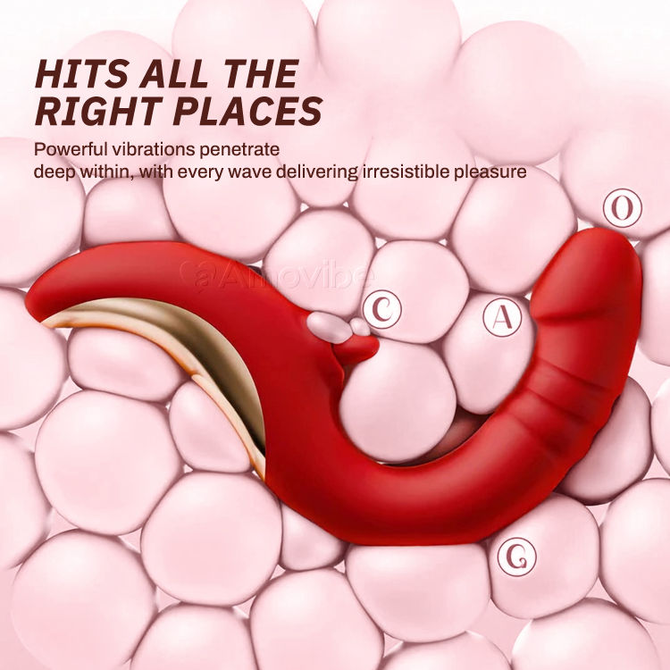 Vibromasseur point G avec modes de succion et de poussée